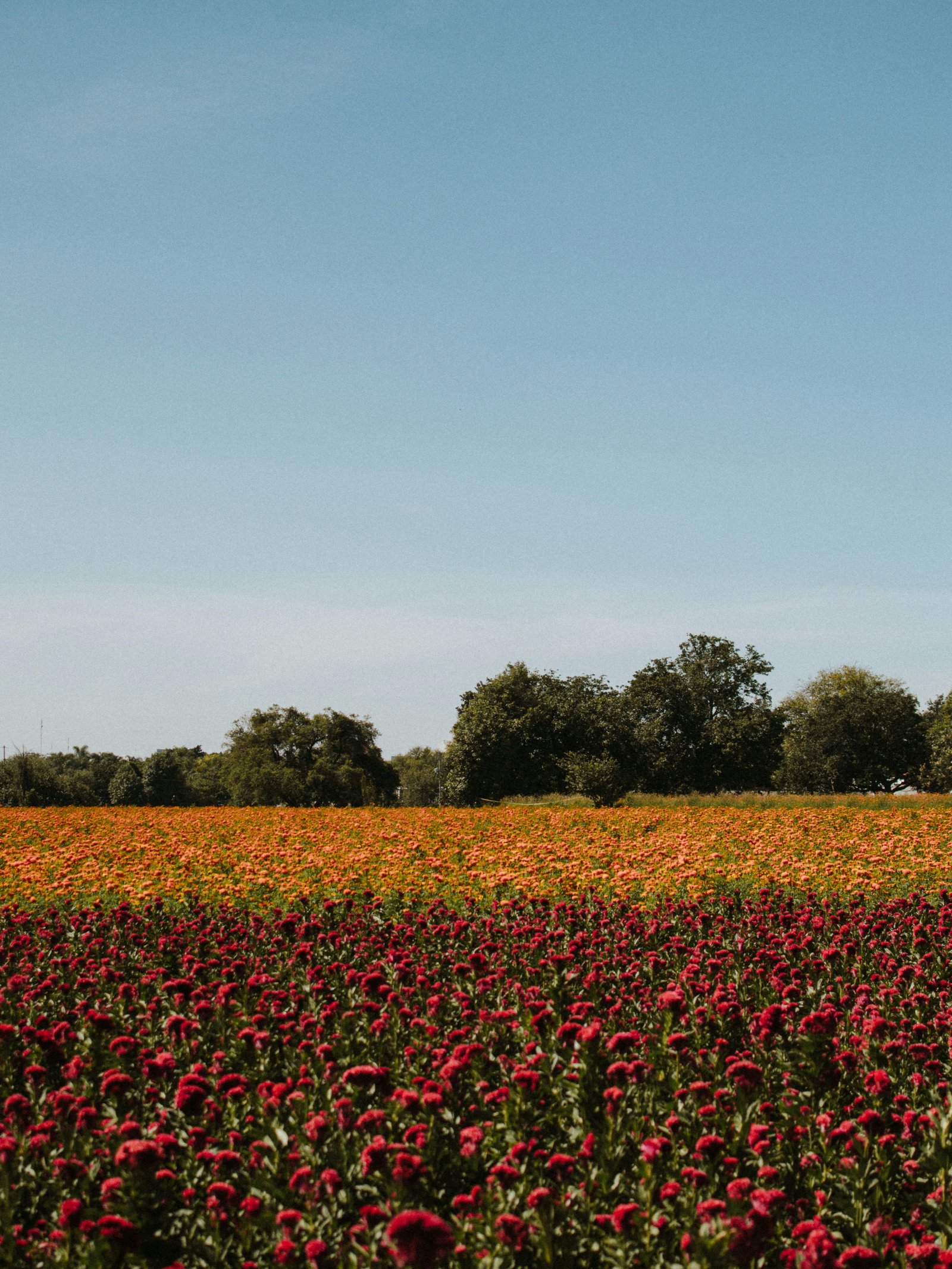 Maison rénovée équipée de panneaux solaires sur le toit, intégrée dans un environnement résidentiel moderne
