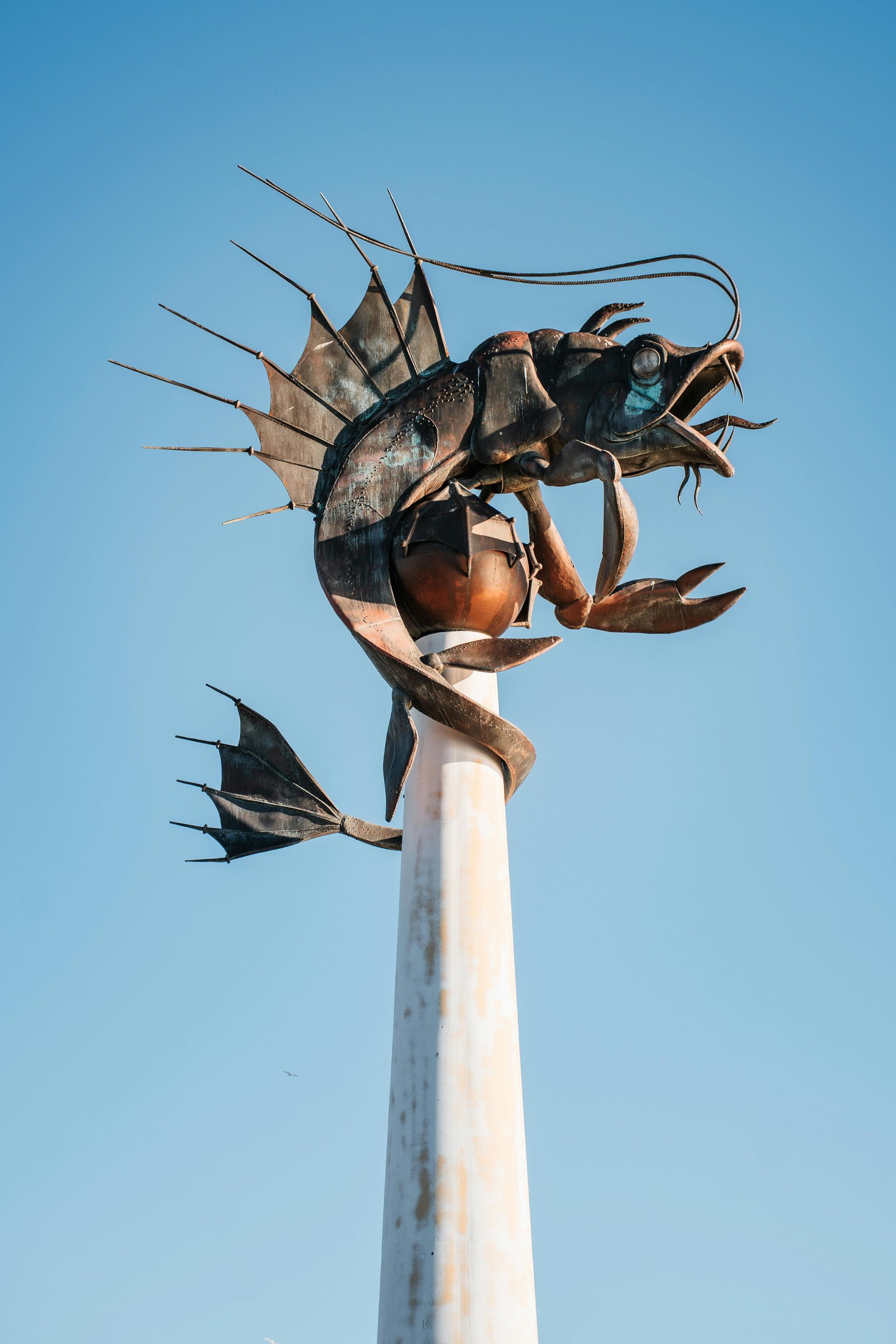 Installation de panneaux solaires innovants sur une maison rénovée