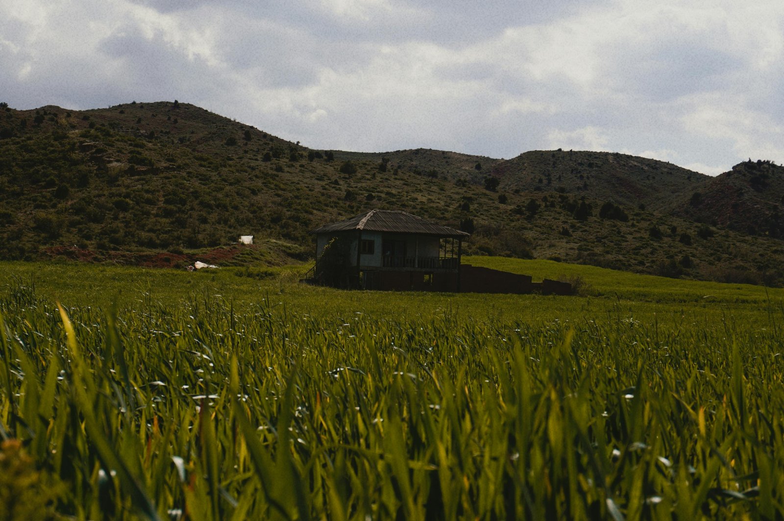 Isolation d'une maison avec des matériaux biosourcés en 2026