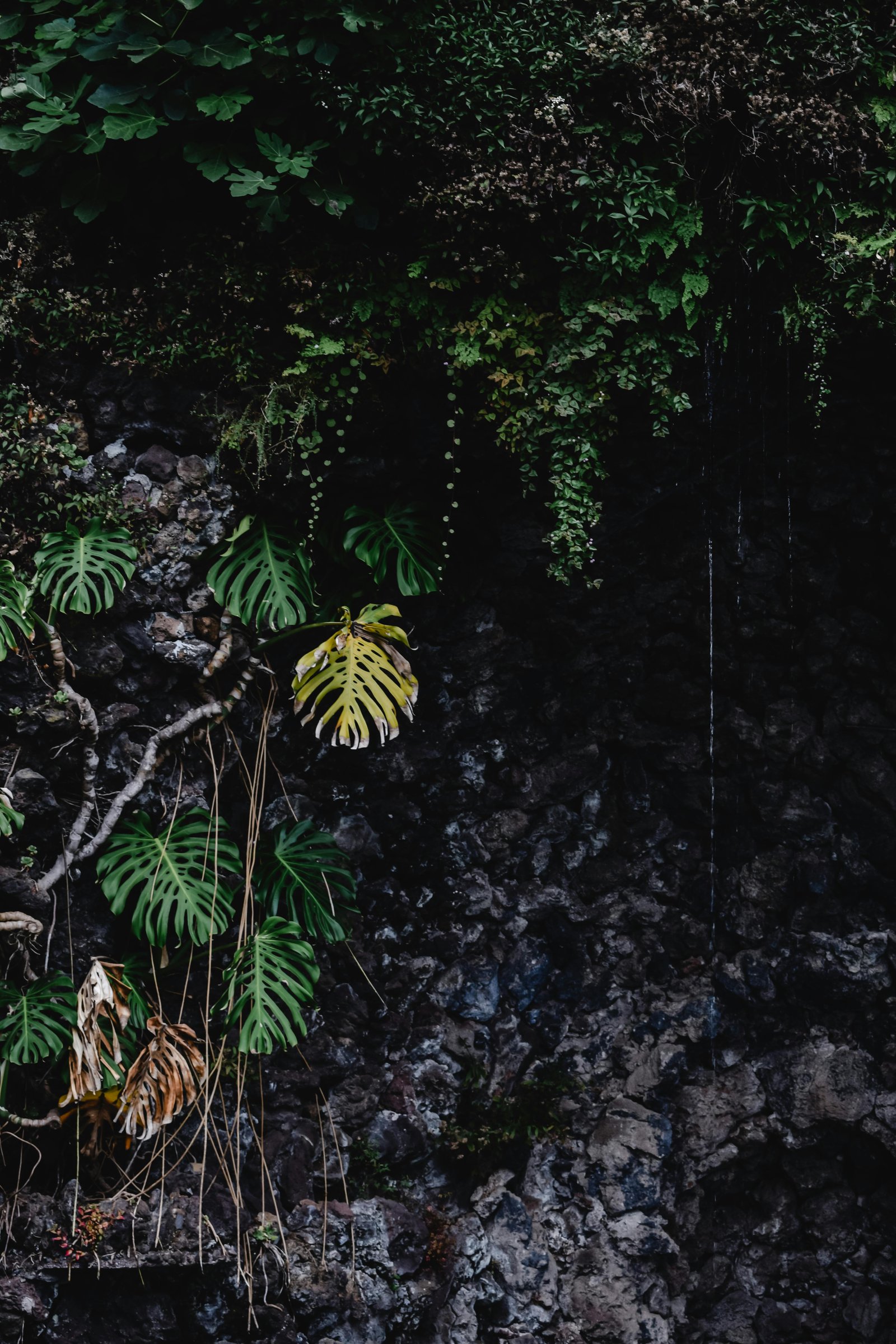 Maison éco-conçue entourée de verdure, panneaux solaires sur le toit