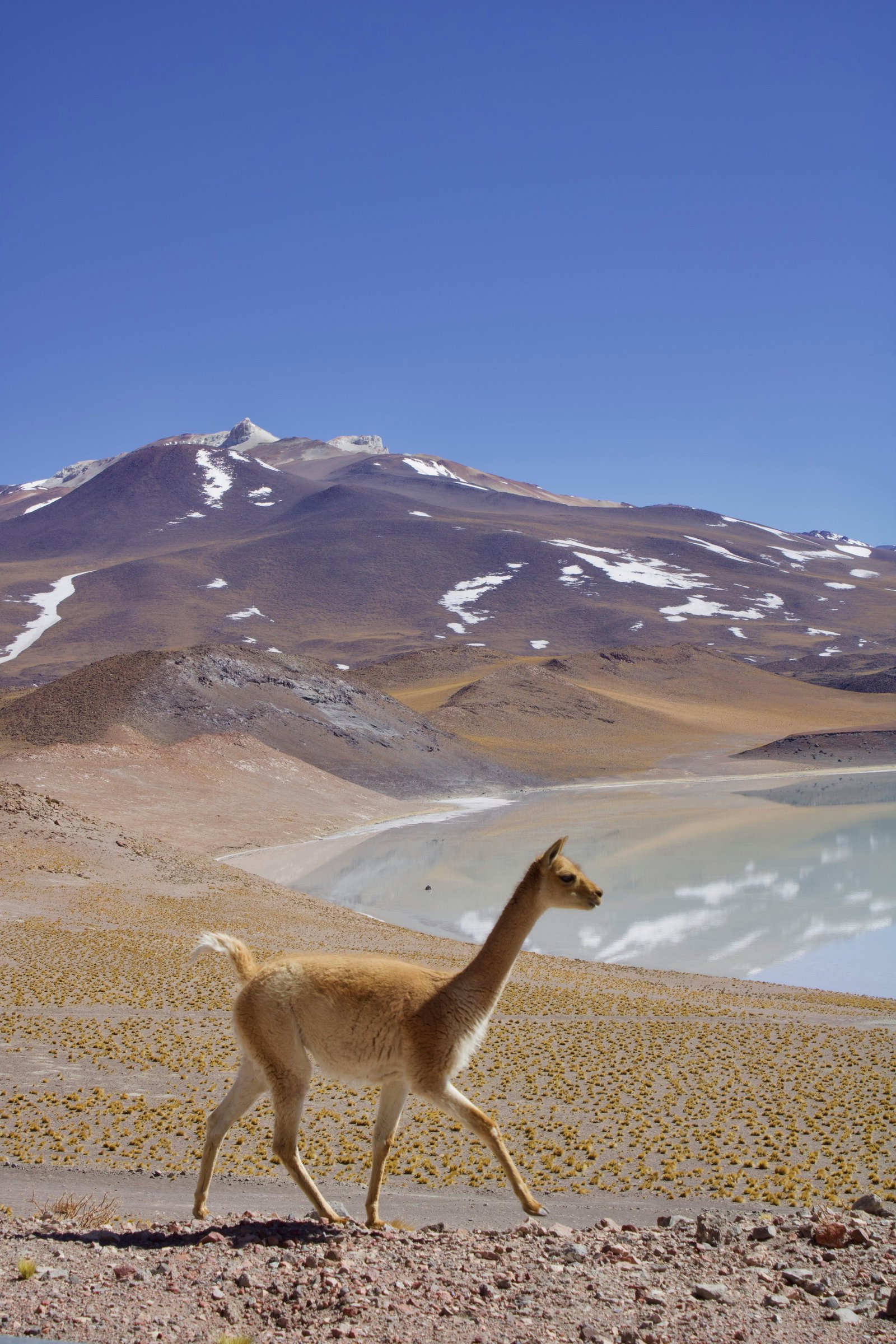 Matériaux durables utilisés dans la rénovation d’un habitat