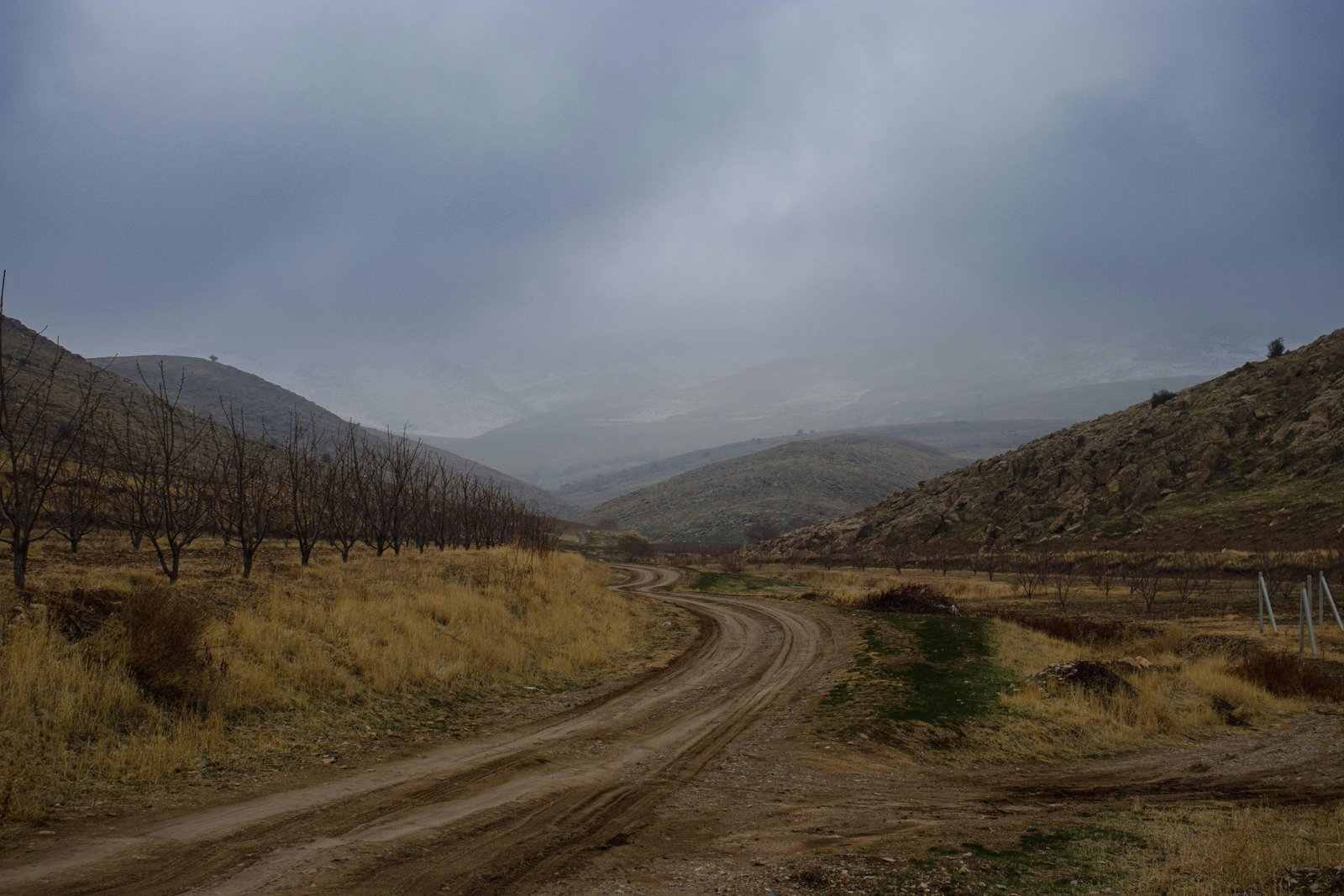 Isolation d’une maison avec des matériaux biosourcés en 2026