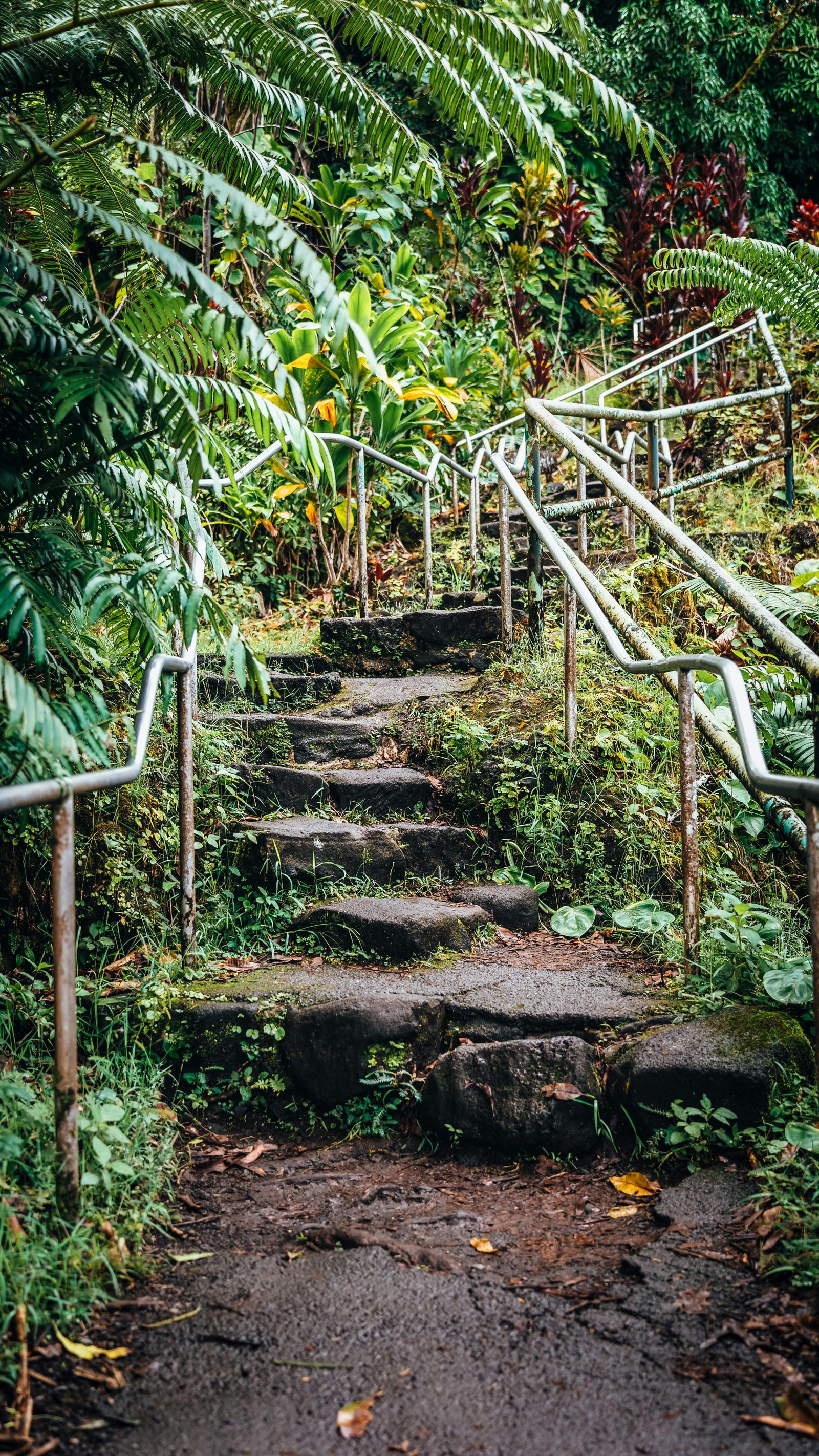 Maison éco-construite entourée de verdure, panneaux solaires sur le toit