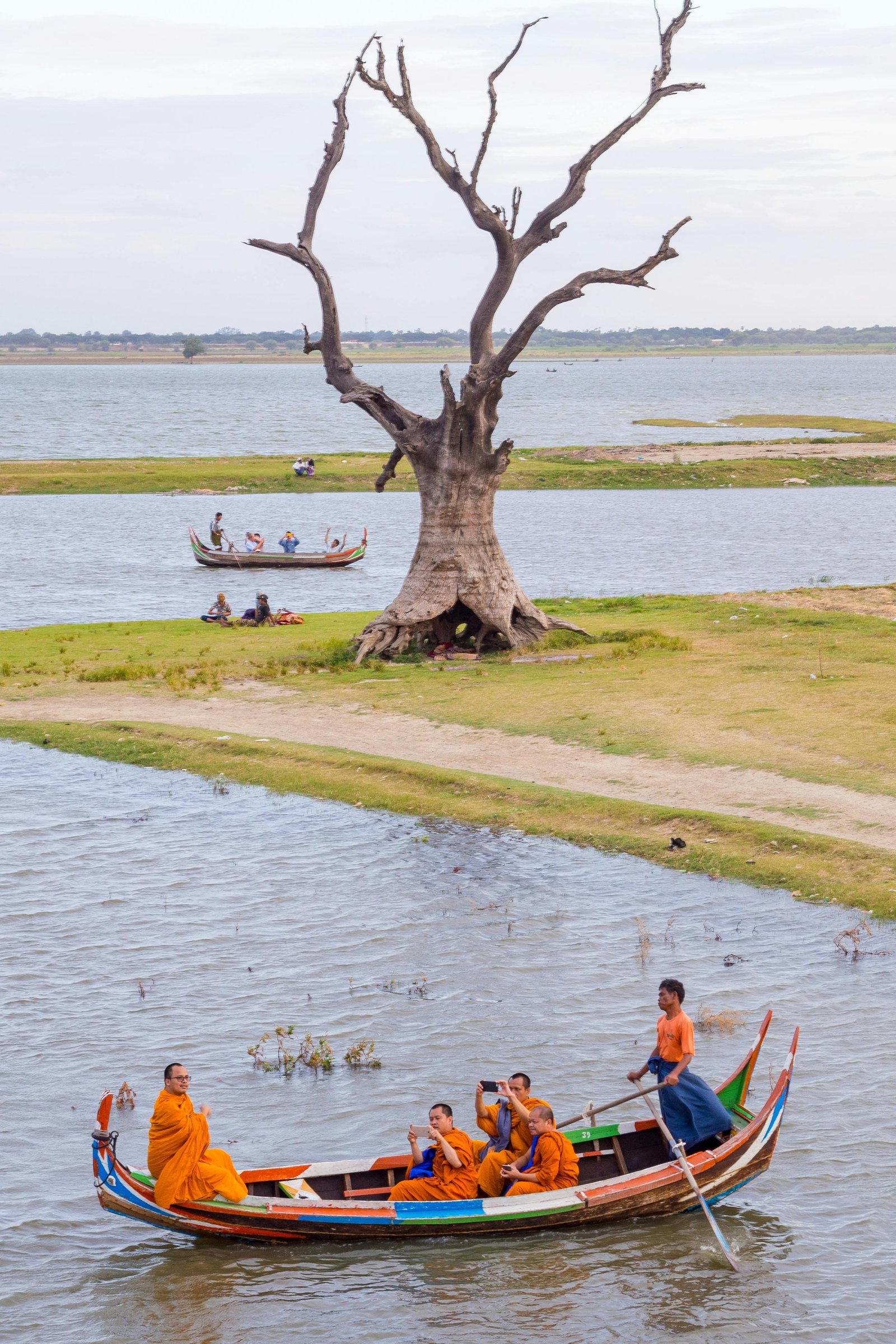 Matériaux écologiques utilisés dans une rénovation énergétique, panneaux isolants biosourcés et peintures naturelles