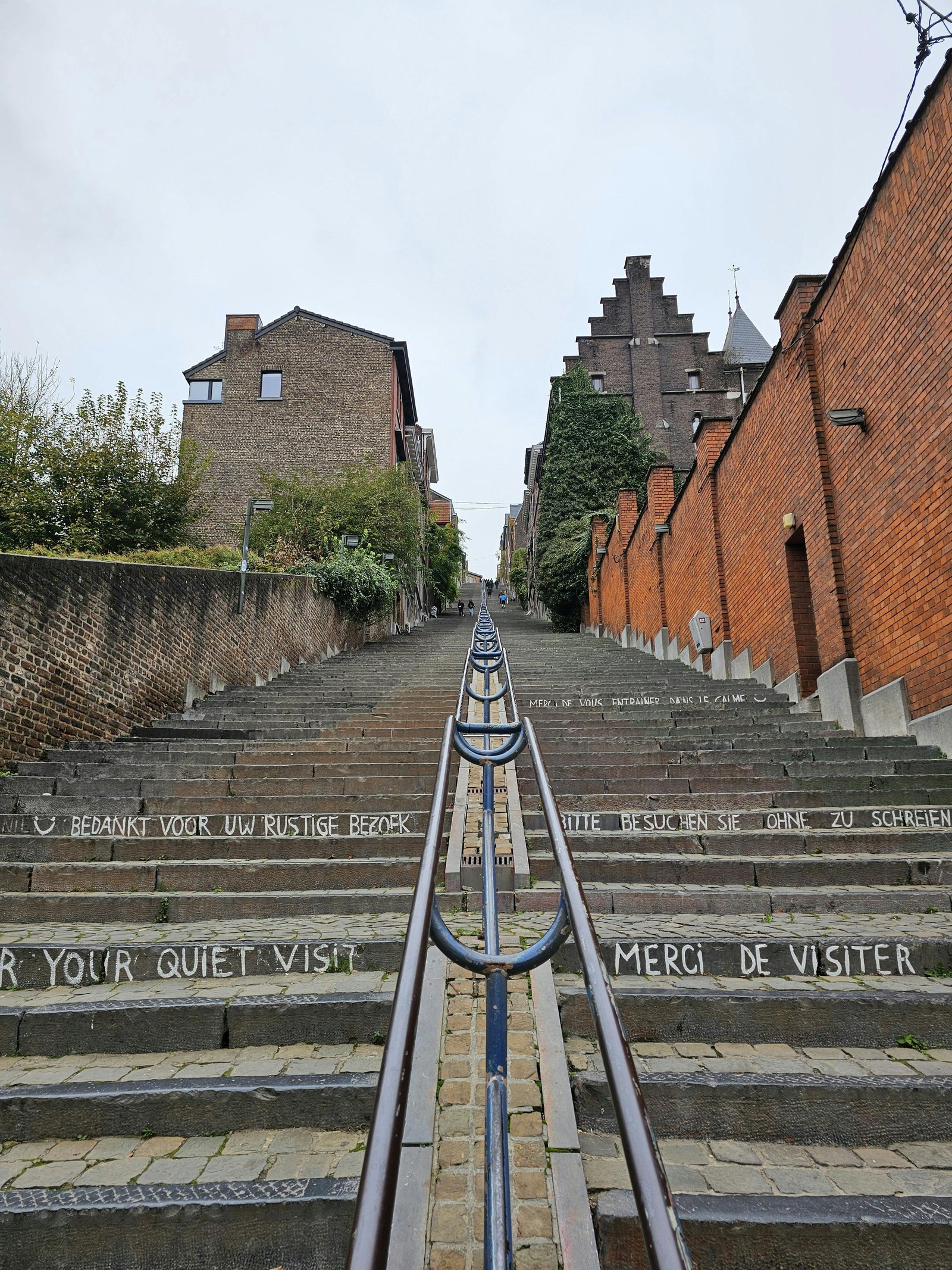 Matériaux durables utilisés pour l’isolation d’une maison
