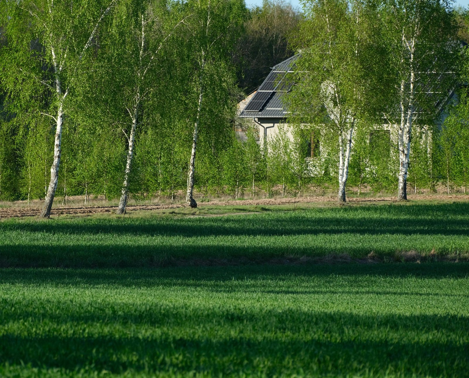 Maison écologique entourée de verdure, panneaux solaires sur le toit
