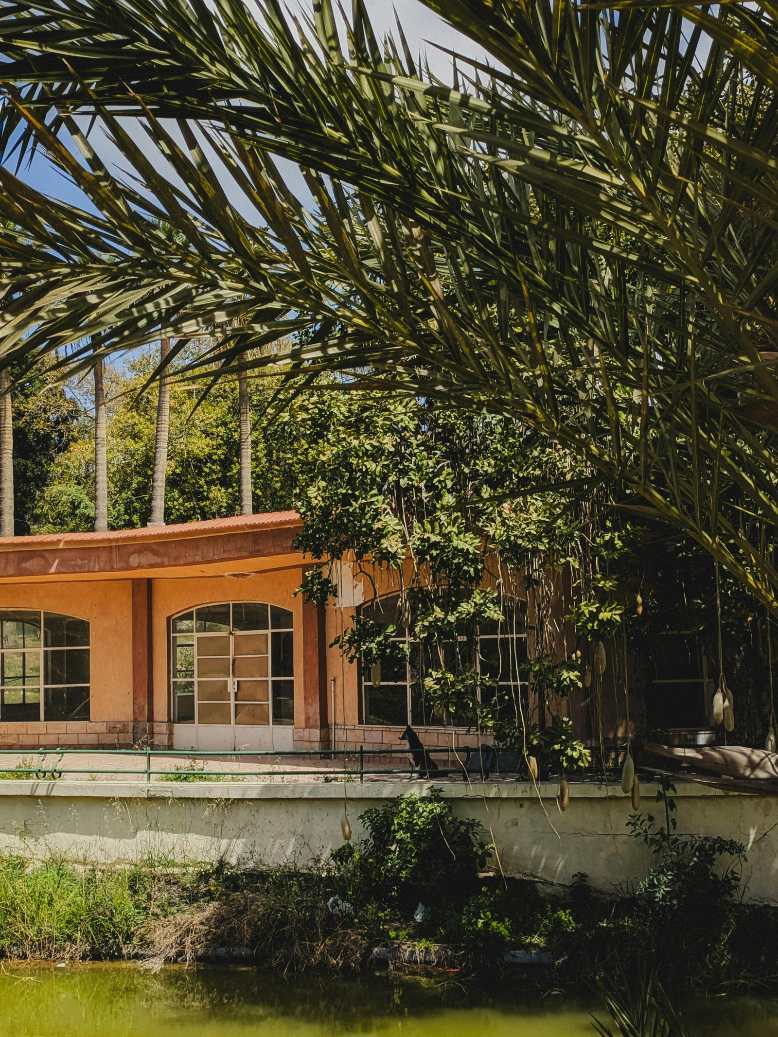 Maison écologique moderne entourée de verdure
