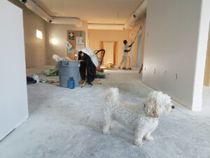 rénovation-appartement-Paris